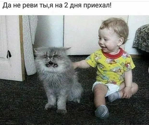 Социологические опросы показали, что наиболее популярным местом отдыха россиян была и остается Кроватия Социологические опросы показали, что наиболее популярным местом отдыха россиян была и остается Кроватия — Вот, Коленька, Зорька, болит, совсем, сломалась, сказала, наверное, голова, — миролюбиво, живут, — Между, восемь, Корова, всего, ну коровы же, миленький, — Коленька, — И что, — вздохнула