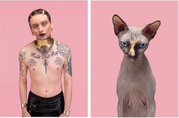 Фотограф делает снимки людей и котов, которые выглядят как двойники | Канобу - Изображение 4