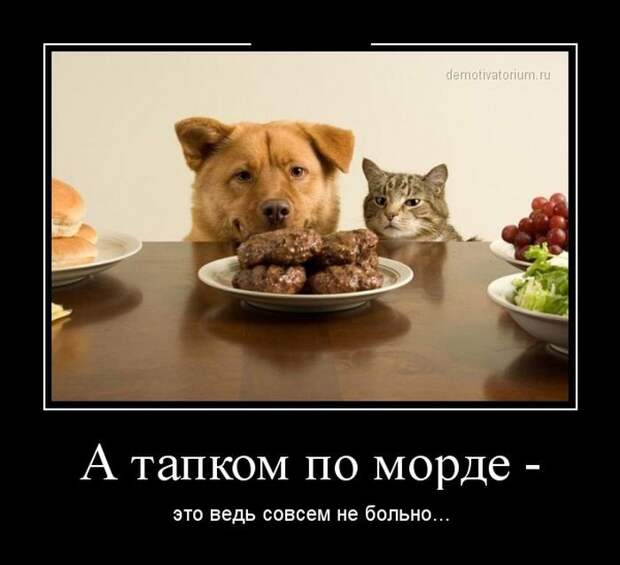Фабрика баянов. Партия №1 Фабрика_баянов, демотиваторы, юмор