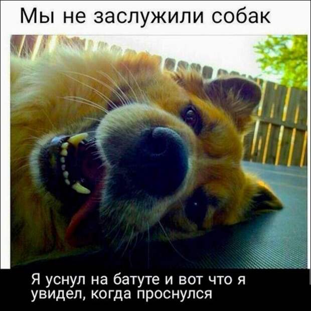 Фотоподборка