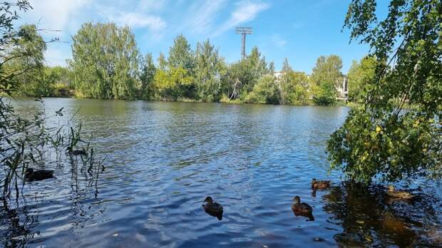Подросток утонул в нижегородском озере