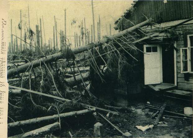 13645 Дачи в Люблино после урагана К. Фишер.jpg