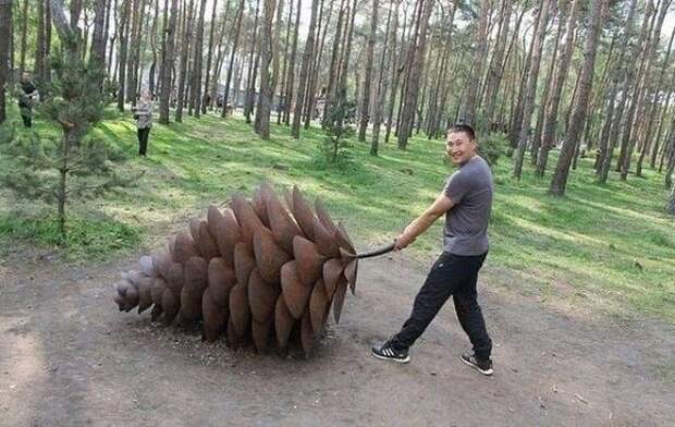 Коллекция эмоциональных снимков