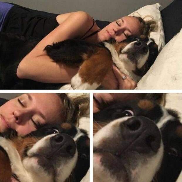 Прикольные картинки абавсём:D (12.08.16)