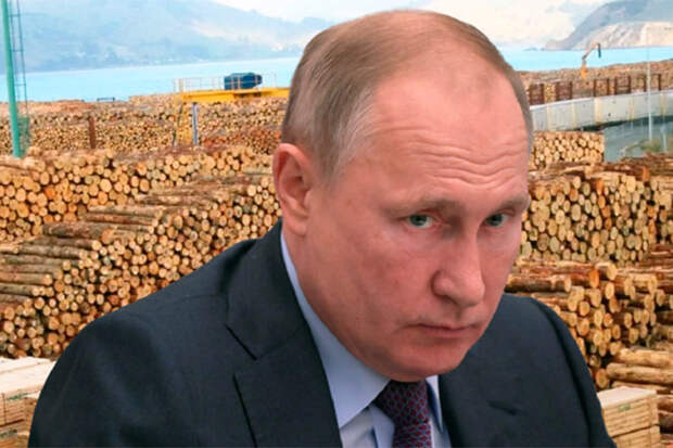 Путин спасает лес