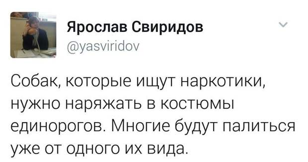 Подборка веселых картинок с надписями до слез (10 фото) Подборка веселых картинок с надписями до слез (10 фото)