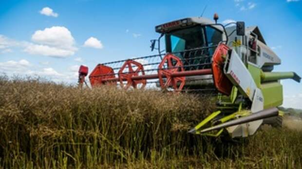 Сбор урожая / Фото: unsplash.com