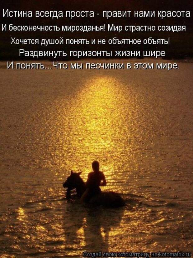 Мысли вслух :)