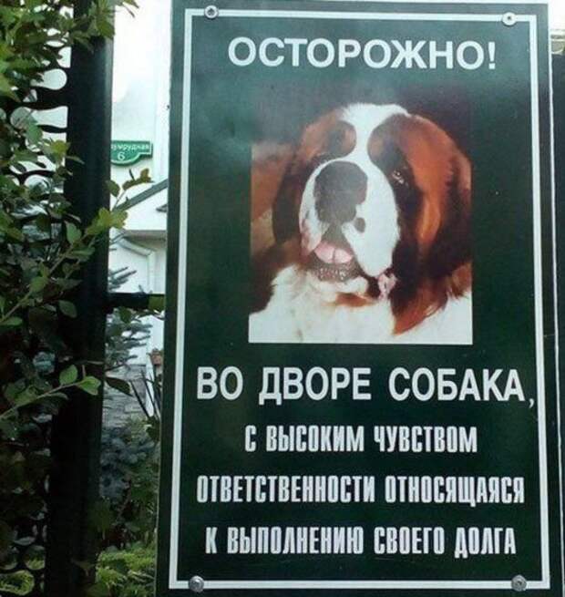 Самые смешные объявления!