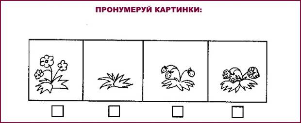 Пронумеруй картинки ягод