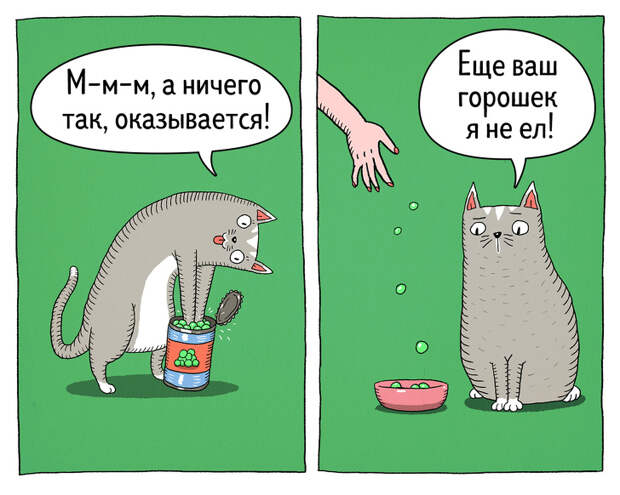 14 комиксов о том, что коты — самые противоречивые создания на планете