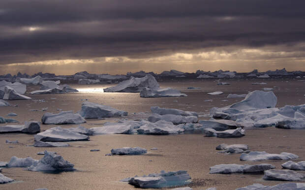 Фото: © Polaris/East News