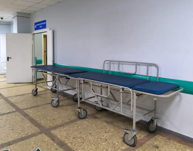 Россиянка обвинила врачей в смерти дочери после девяти часов ожидания в приемном покое