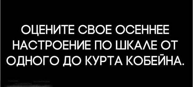 Веселые и смешные картинки с надписями со смыслом (11 фото)