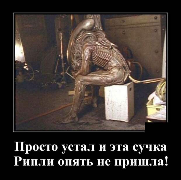 Демотиваторы (30 фото)