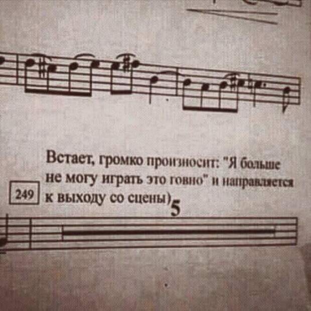 Приколы
