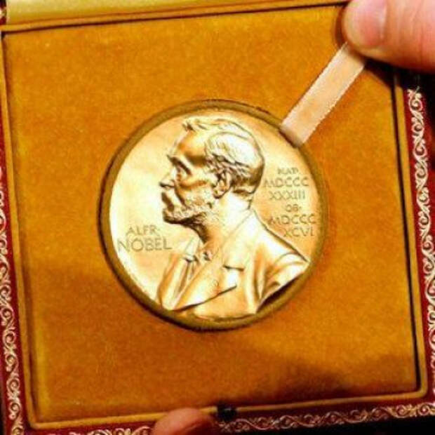 Главред «Новой газеты» Муратов получил Нобелевскую премию мира. В Кремле отметили смелость лауреата