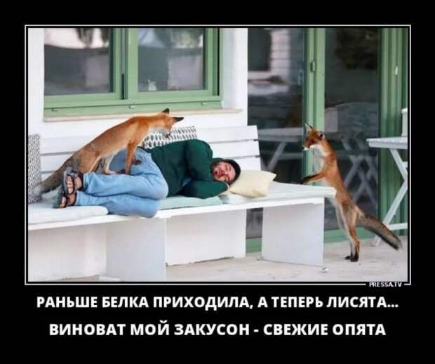 Прикольные демотиваторы с надписями. Подборка chert-poberi-dem-chert-poberi-dem-53180208062020-5 картинка chert-poberi-dem-53180208062020-5