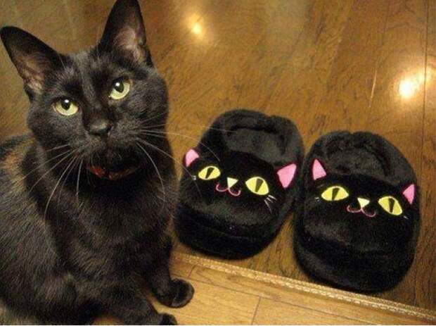 Пара черных тапочек очень похожи на кота или наоборот. 