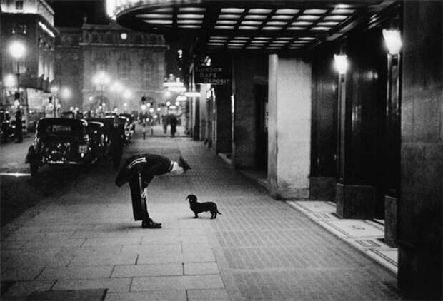 16. Швейцар отеля разговаривает с маленькой таксой, Лондон, 1938 г. архивные фотографии, лучшие фото, ретрофото, черно-белые снимки