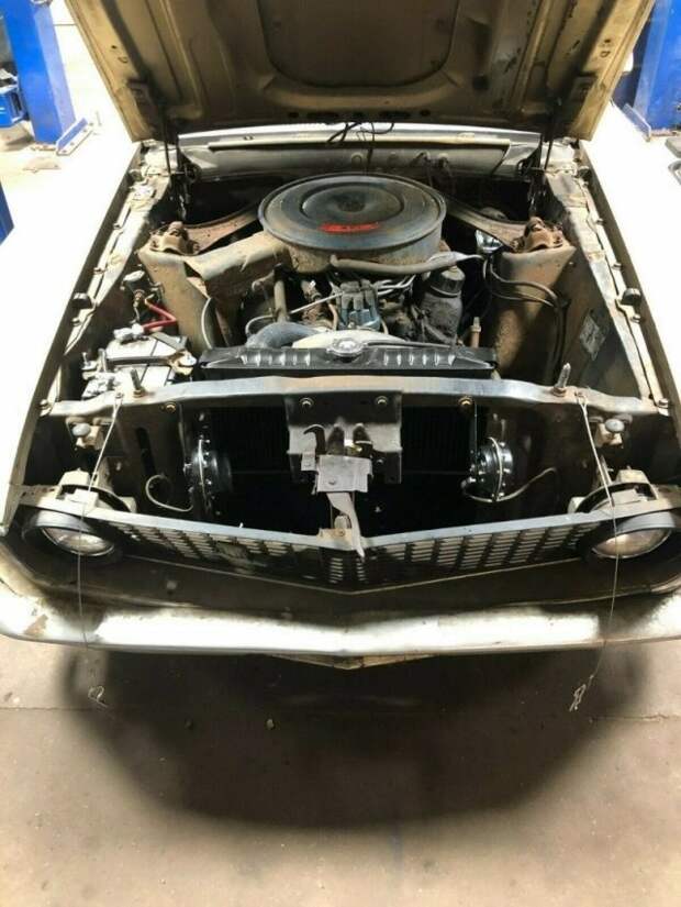 Ford Mustang 1969 года, который простоял 40 лет без движения