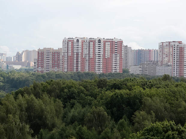 Московские квартиры начали уменьшаться в размерах