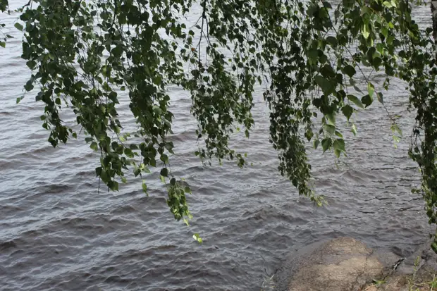 "Тянутся сосны в прозрачное небо, глыбы гранита заснули давно..." Парк Монрепо в Выборге