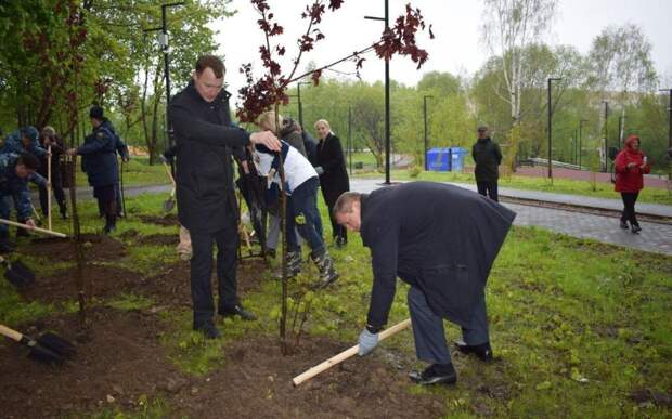 В рязанских Черезовских прудах высадили новые деревья