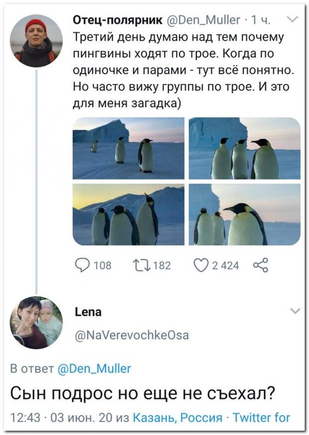 setey-socialnyh-kommentarii-citaty-vkontakte-vkontakte-smeshnye-statusy