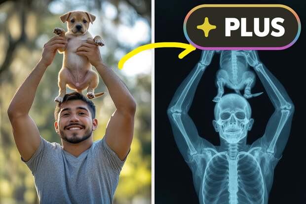 This X-Ray Machine Can See Through Literally Everything And I'm Both Terrified And Fascinated