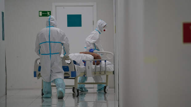 DS: четыре смертельных вируса могут вызвать новую пандемию к 2026 году