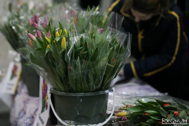 В Петербурге у нелегальных продавцов цветов изъяли товар на 150 тыс. рублей