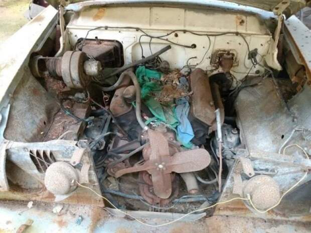 На американской свалке догнивают раритетные машины