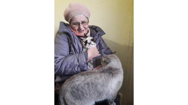 Костромская кошка