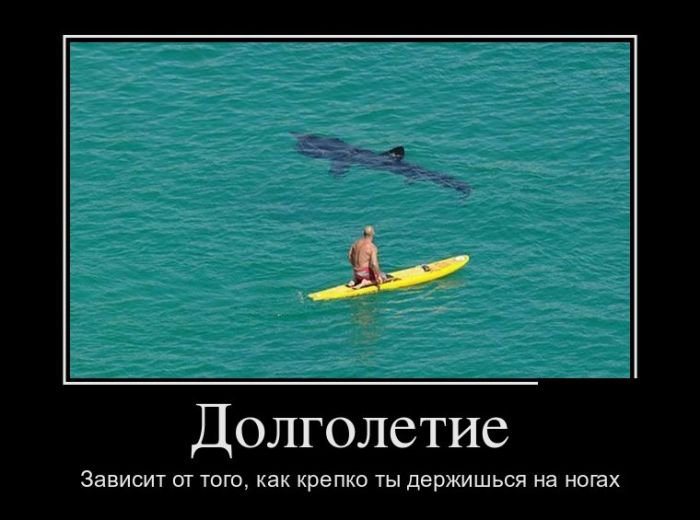 Демотиваторы на пятницу (29 фото) Демотиваторы на пятницу (29 фото)