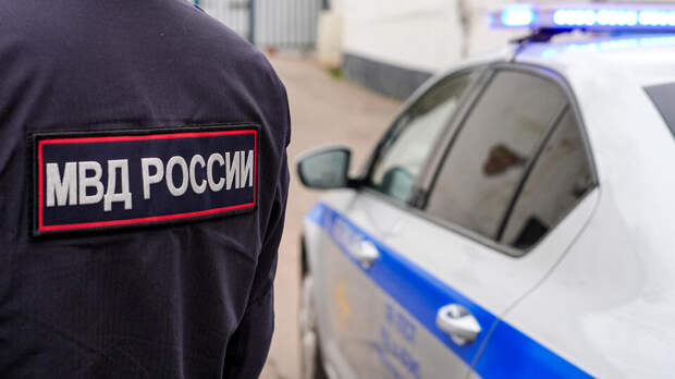 Путин: в 2025 году во всех федеральных округах РФ снизилась преступность