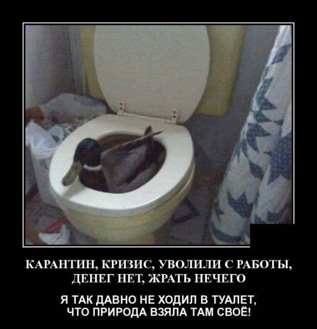 demotivatory-demotivator-smeshnye-demotivatory-demotivator-so-smyslom
