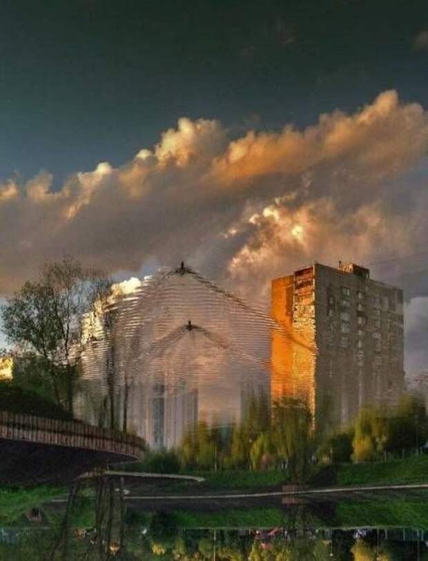 Прикольные картинки