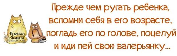 https://img-fotki.yandex.ru/get/5006/144163641.3e8/0_e70ec_4fc8df36_orig.jpg