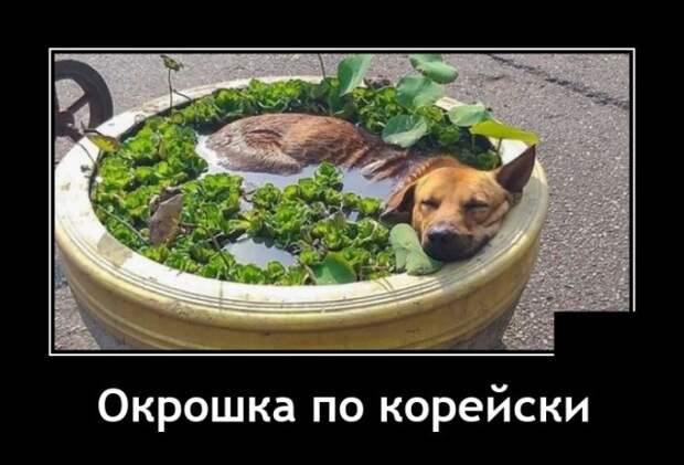 Демотиваторы 19 мая 2021
