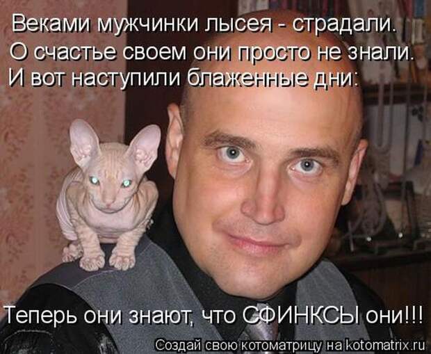 Лучшие котоматрицы недели (50 фото)