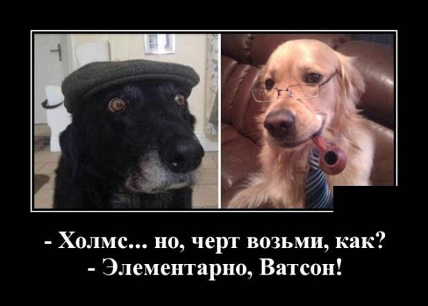 Демотиваторы (30 фото)