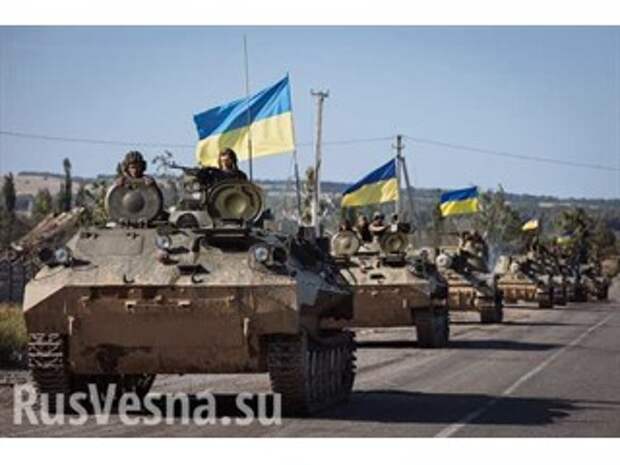 Мариупольский плацдарм: решится ли Киев на летнее наступление на Донбассе?