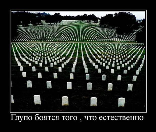 Демотиваторы (30 фото)