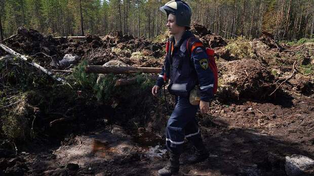 В Рослесхозе рассказали о прогнозе пожарной обстановки в регионах в конце мая