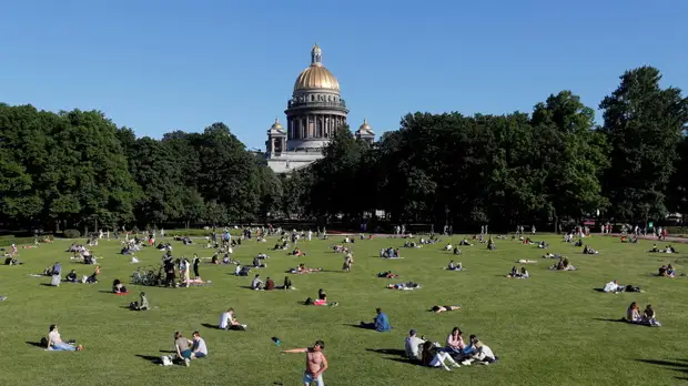 Полиция Петербурга выявила торговцев поддельными справками о COVID-19