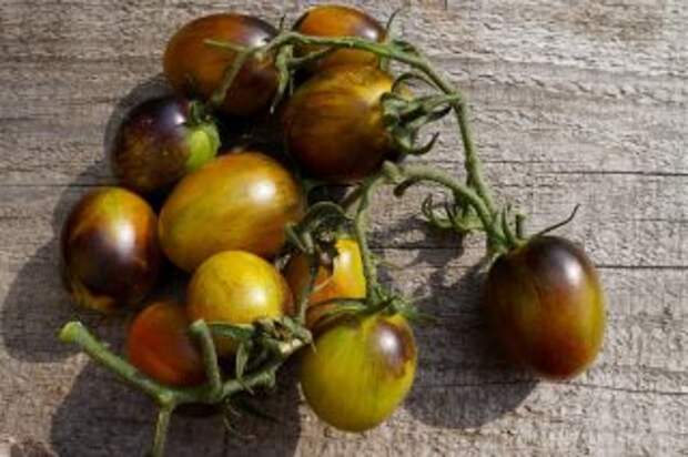 Томаты черри «Атомный виноград Бреда» (Solanum lycopersicum var. Cerasiforme ‘Brad's Atomic Grape’)