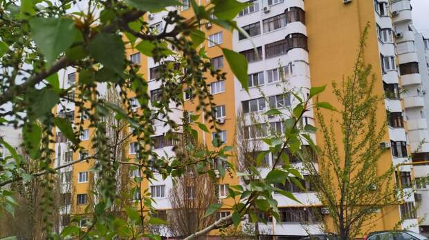 Впереди других регионов России: цены на аренду квартир в Чите бьют рекорды