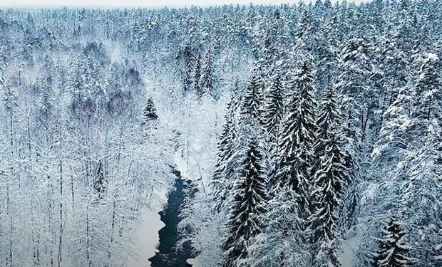 Люди основали село в Тайге и живут без связи с Большой Землей уже 122 года. Видео