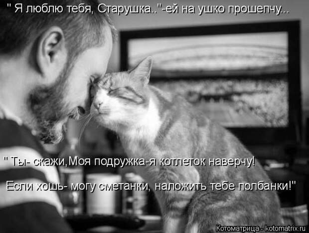 Лучшие котоматрицы недели (50 фото)